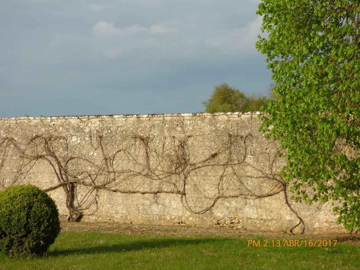 Chateau De Montrame Soisy-Bouy Exteriör bild