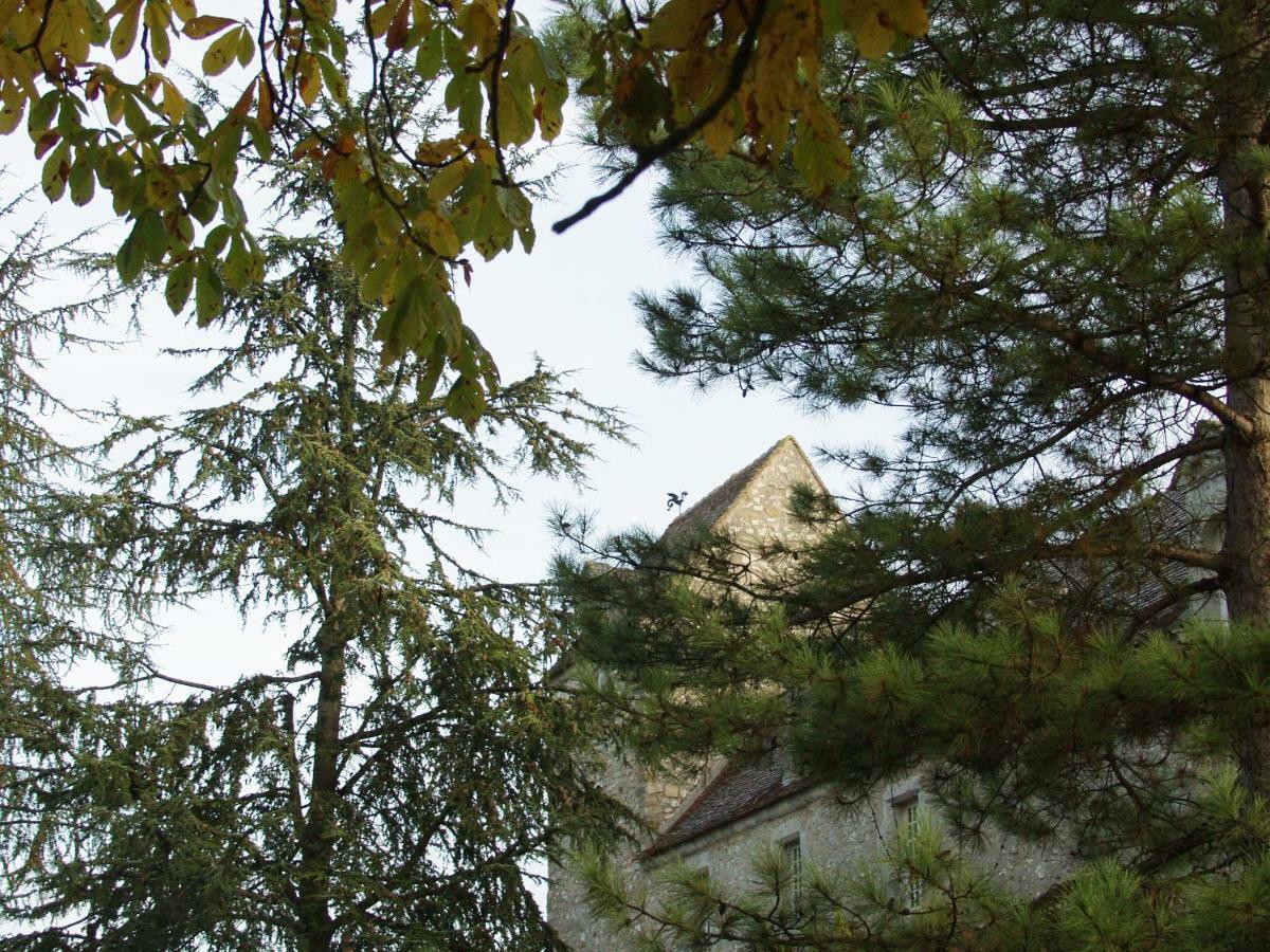 Chateau De Montrame Soisy-Bouy Exteriör bild
